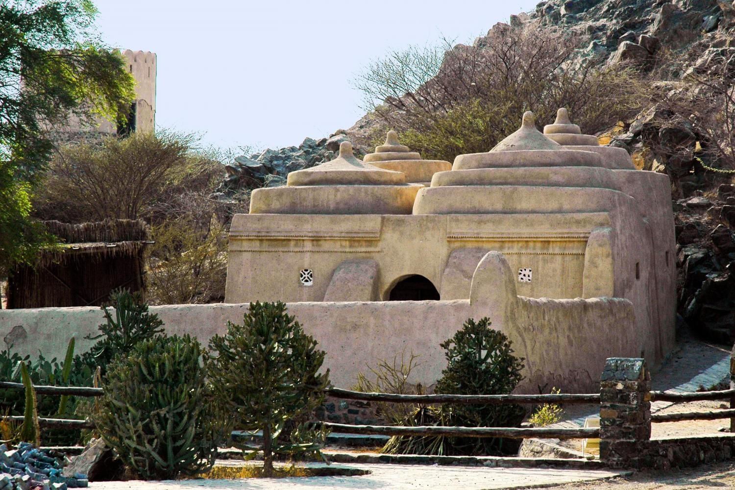 East Coast Tour with Lunch with Daytur