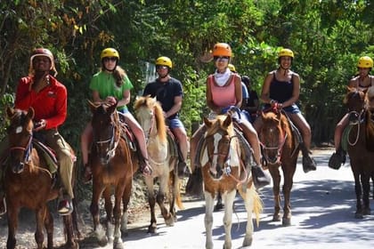 Punta Cana Horseback Riding Tour: Beaches, Fields and Forests +