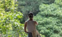 Private Half Day Tour to Ubud 8
