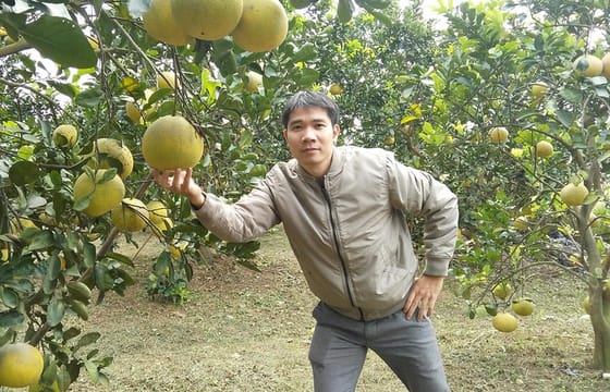 FARM TOUR AND HOME COOKING WITH LOCAL FAMILY IN HANOI 3-5 hours