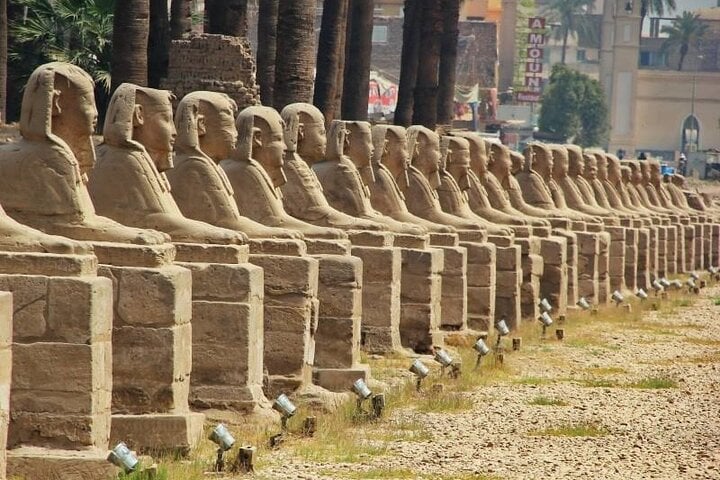 Visit to Karnak, Luxor Temples, Ride in Magnificent Felucca Sailing Boat,  9