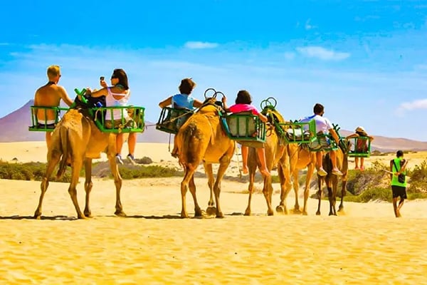 Things to do in Maspalomas, Gran Canaria