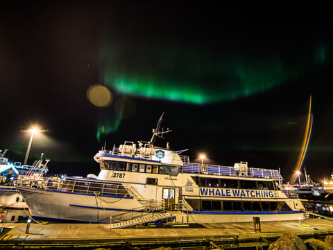 Northern Lights by Boat with a Backup Plan, photo 5
