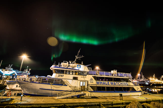 Northern Lights by Boat with a Backup Plan 5