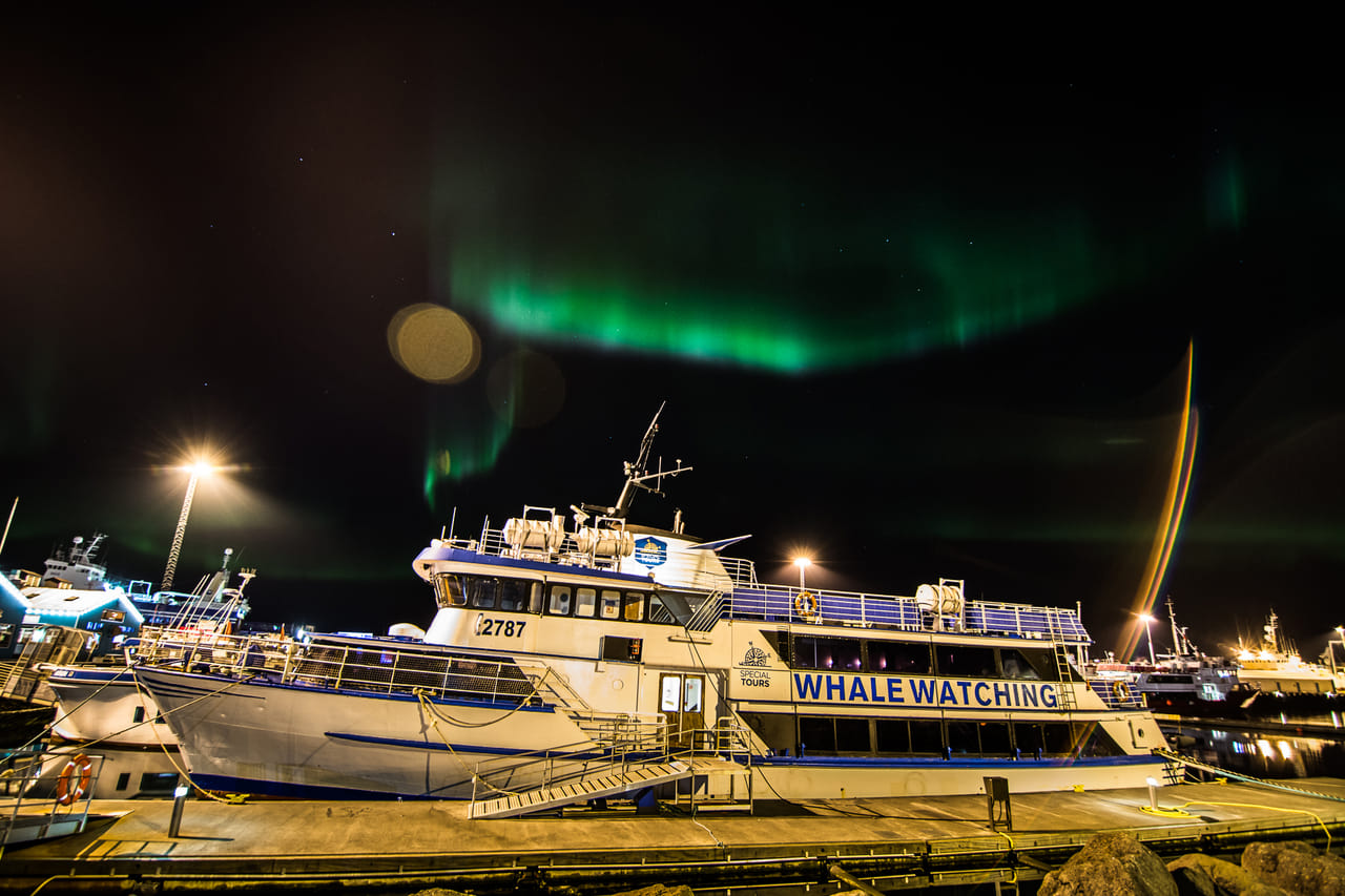 Northern Lights by Boat with a Backup Plan 5