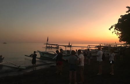 Lovina Dolphin Swim & Snorkel Sunrise with Scenic Viewpoints