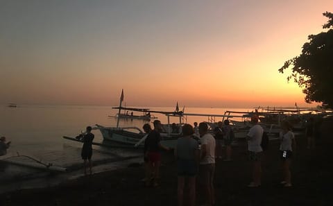 Dolphin Watching and Snorkeling Tour in Lovina Beach