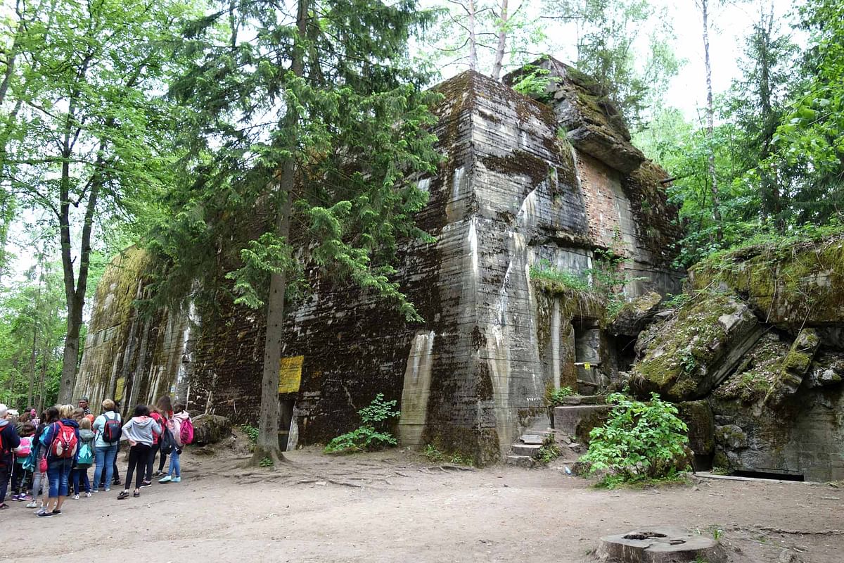 Explore Wolf’s Lair: Guided Tour of Hitler’s Secret HQ in Poland