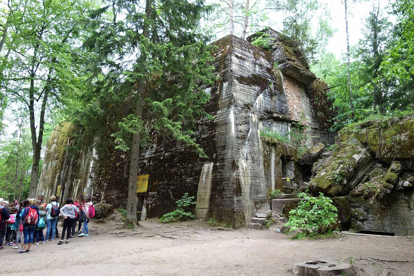 Explore Wolf's Lair: Guided Tour of Hitler's Secret HQ in Poland