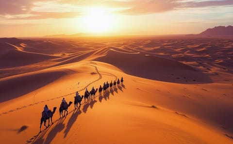 3-Day Desert Adventure from Marrakech to Fez via Ouarzazate
