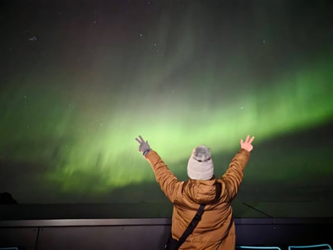 Private Northern Lights Evening Tour Aurora Borealis Experience, photo 13