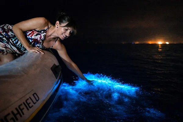 Tour en barco por bioluminiscencia y atardecer en el Santuario de Los Arcos