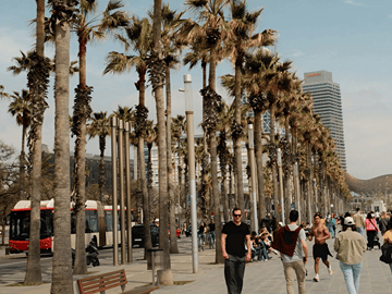 Barcelona Old City Walking Tour + 1H Boat Cruise