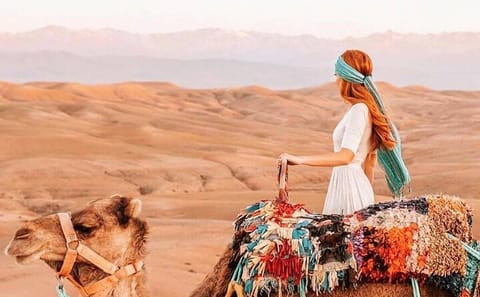 ATV Adventure and Traditional Dinner in Agafay Desert