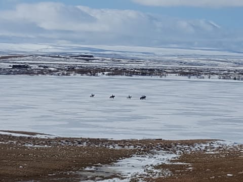 Riding on ice - Lake Myvatn, photo 2