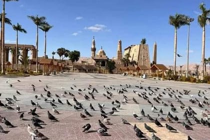 trip to the Valley of the Nile