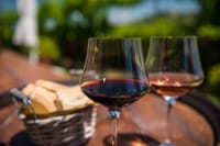 From Verona: Half-Day Valpolicella & Amarone Wine Experience 1