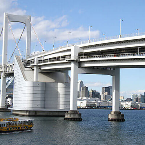 Panoramic Tokyo 1 Day Bus Tour with Bay Cruise