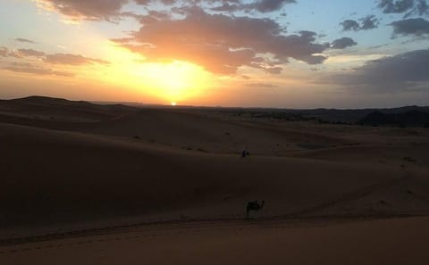 Private 2-Day Desert Tour from Errachidia to Fes via Merzouga