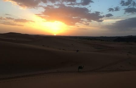 Private 2-Day Desert Tour from Errachidia to Fes via Merzouga
