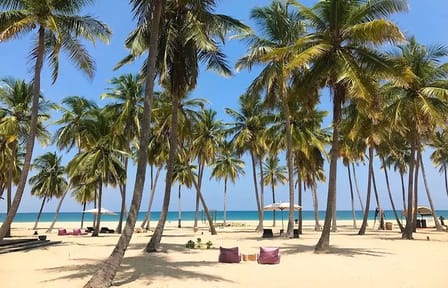 3 Day Sri Lanka Cultural tour and East Coastal tour