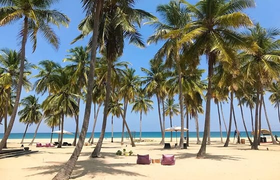 3 Day Sri Lanka Cultural tour and East Coastal tour