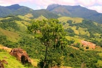 Horseback riding in the Atlantic forest BY PARATY TOURS 7