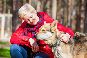 Husky Farm Visit with Summer Safari - Rovaniemi