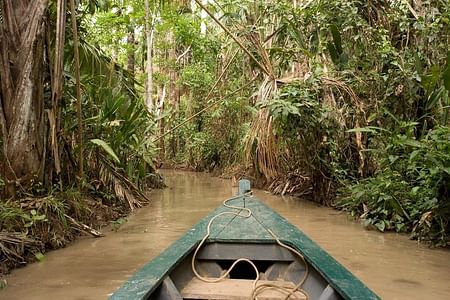 Amazon Jungle Adventure: Explore Puerto Maldonado’s Biodiversity