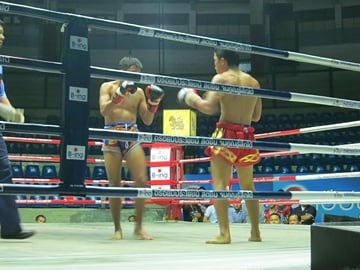 Treat yourself to a ringside seat