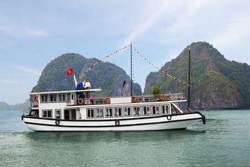 Halong Bay Standard Cruise 1 Day Tour from Tuan Chau Harbor/Hanoi