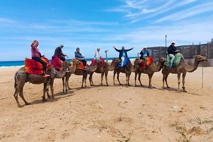 Tangier : Guided City Tour Around Main Points of Interest