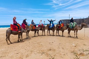 Guided City Tour of Tangier's Main Cultural Highlights