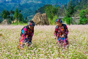 Dong Van Loop Car Tour: 2-Day Adventure in Ha Giang