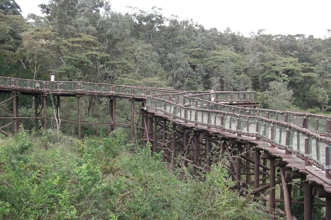 Tour Nairobi Safari Walk