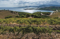 Half-Day Small-Group Wine Tasting and Brunch Tour from Girona 2