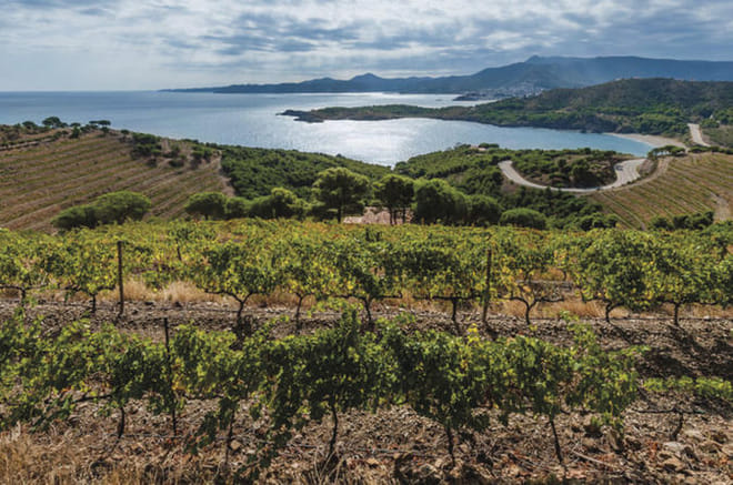 Half-Day Small-Group Wine Tasting and Brunch Tour from Girona 2