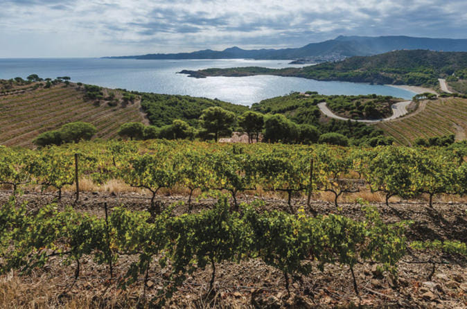 Half-Day Small-Group Wine Tasting and Brunch Tour from Girona 2