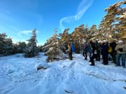 Winter Archipelago Excursion 9