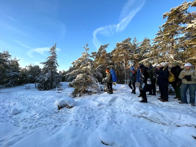 Winter Archipelago Excursion 9