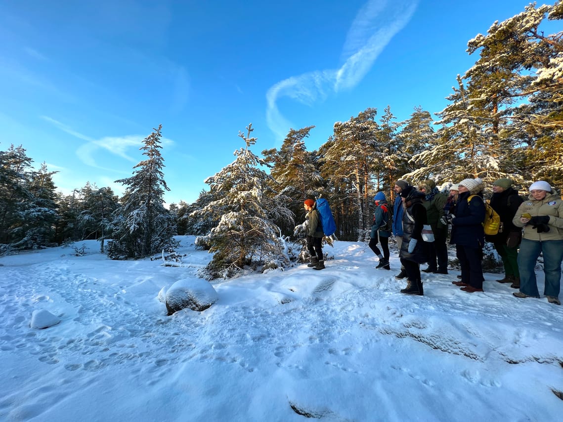 Winter Archipelago Excursion 9