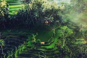 Kintamani and Tampaksiring Cultural Tour in Bali