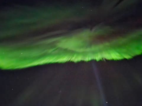 Lava Show & Northern Lights Cruise, photo 2