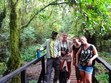 From Arusha: Mount Kilimanjaro Day Hikes