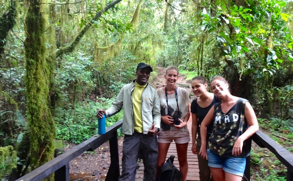 From Arusha: Mount Kilimanjaro Day Hikes