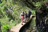 Full Day Tour in Porto Moniz with the Locals 2