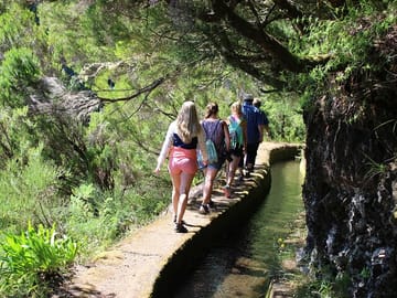 Full Day ATV and Minivan Tour in Porto Moniz