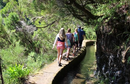 Full Day ATV and Minivan Tour in Porto Moniz
