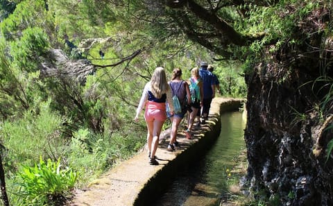 Full Day ATV and Minivan Tour in Porto Moniz