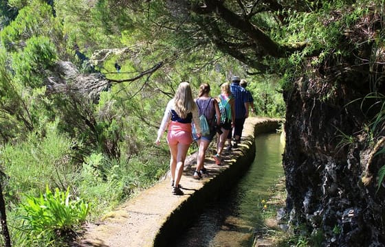 Full Day Tour in Porto Moniz with the Locals